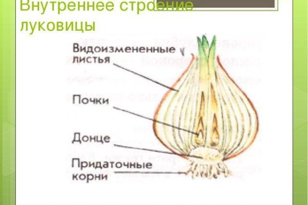 Ссылки сливов на mega